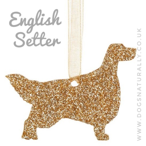 English Setter Glitter Decoration (Gold)